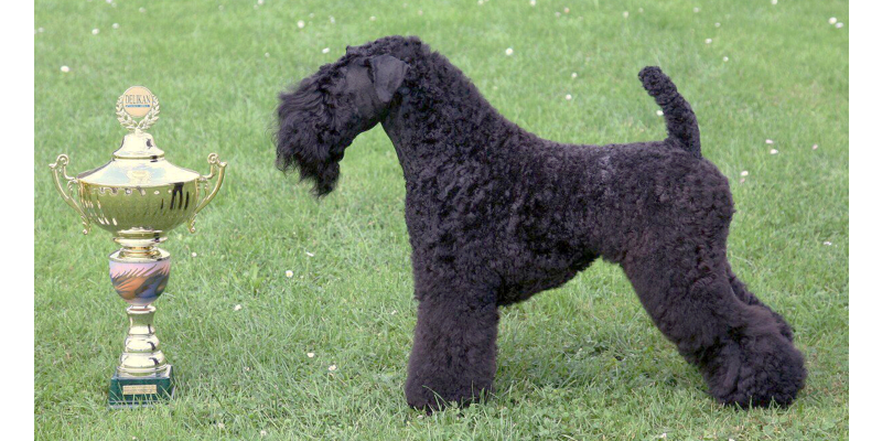 Klubová v. Mladá Boleslav