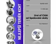 Klub chovatelů teriérů