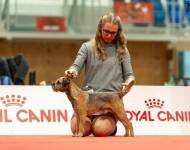 Flint zpod Chlumských hájů