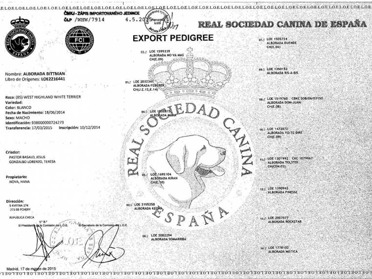 Alborada Bittman