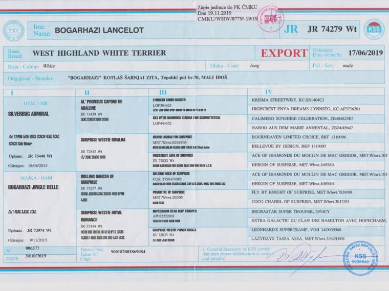 Bogarhazi Lancelot