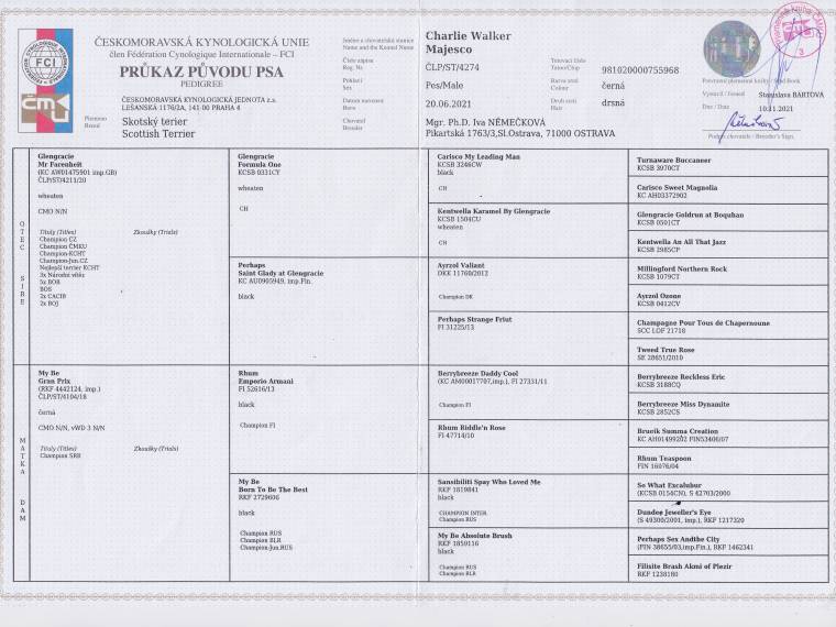 Charlie Walker Majesco
