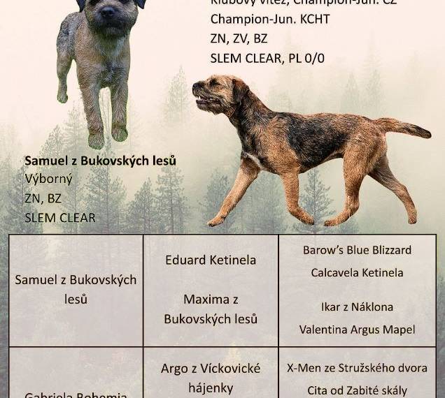 Vrh T z Bukovských lesů