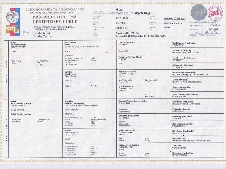 Glen zpod Chlumských hájů