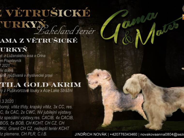 Vrh H z Větrušické Turkyň