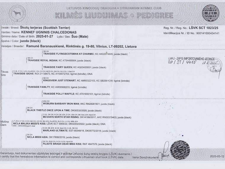 Kennef Ugninis Chalcedonas